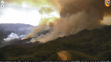 Palisades incident wildfire