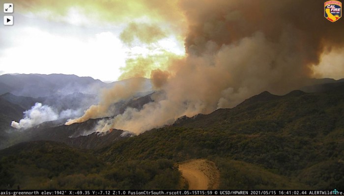 Palisades incident wildfire