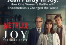 Joy true story jean purdy netflix
