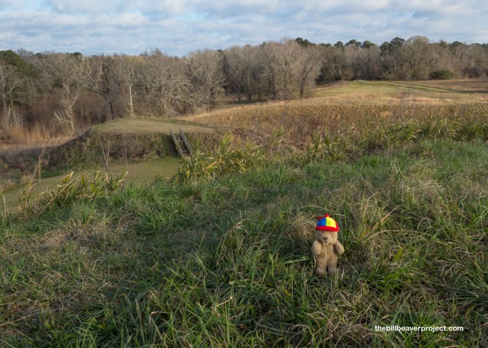 Ocmulgee mounds mosaicsinscience Ocmulgee mounds mosaicsinscience