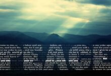 The art of protecting your peace essay