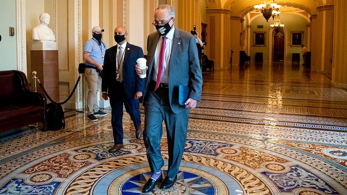 Senate democrats budget vote