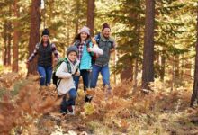 How to embrace winter mindset