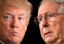 Donald trump cabinet mitch mcconnell