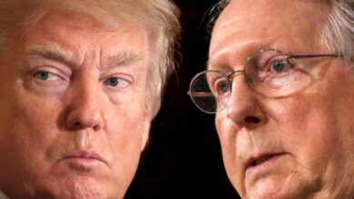 Donald trump cabinet mitch mcconnell