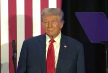 Cost trump firing dei workers