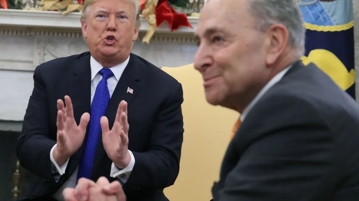 Cost trump firing dei workers