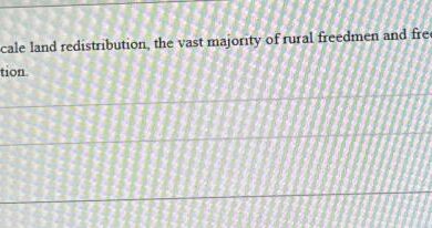 Land reshuffling racial divide essay