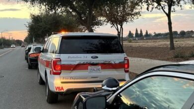 Suspected arson arrest made near kenneth fire los angeles