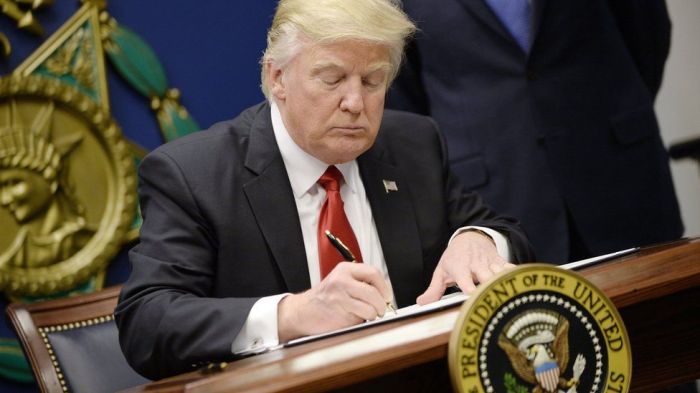 Donald trump day one promises pardons border executive order