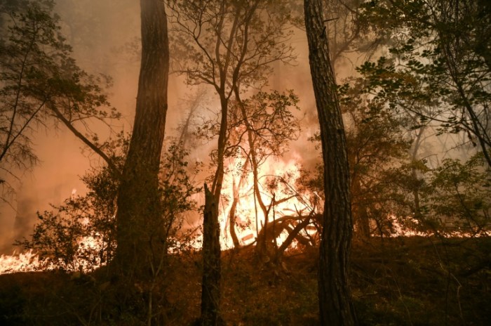 Los angeles california wildfires what to say