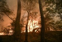 Los angeles california wildfires what to say