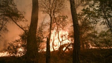 Los angeles california wildfires what to say