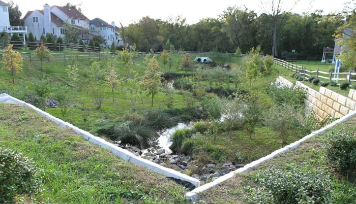 Cities nature based solutions floods
