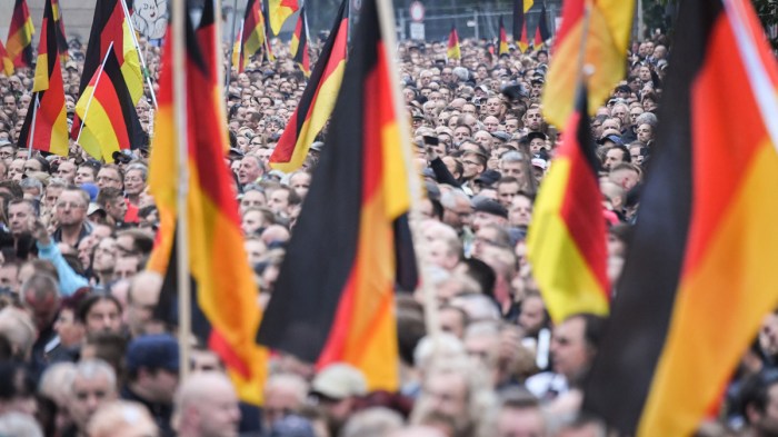 Musk europe far right germany afd
