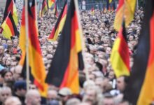Musk europe far right germany afd