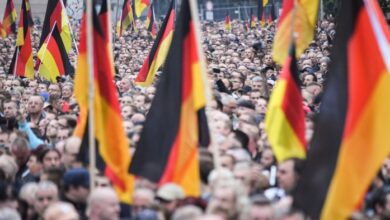 Musk europe far right germany afd