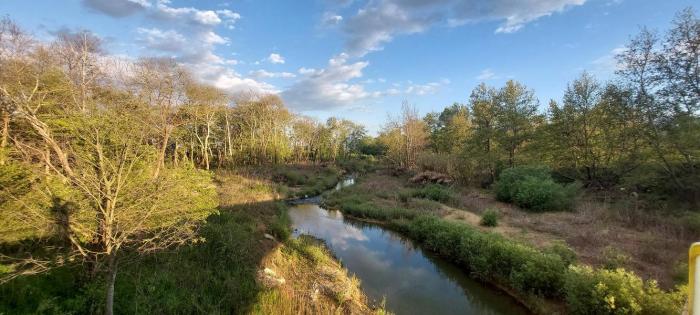 Cities nature based solutions floods