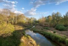 Cities nature based solutions floods