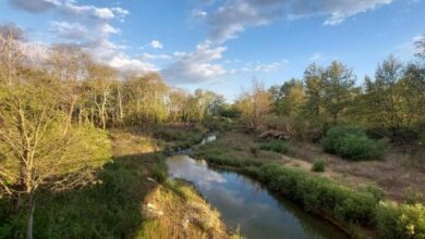 Cities nature based solutions floods