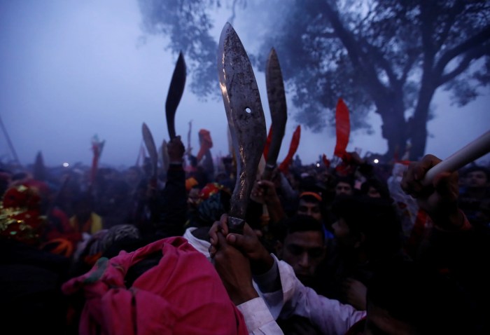 Gadhimai Hindu festival: World's 'largest animal… Gadhimai festival hindu temple animal sacrifice nepal india courts activists