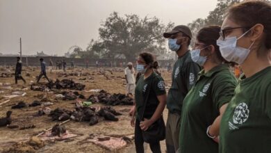 Gadhimai festival hindu temple animal sacrifice nepal india courts activists
