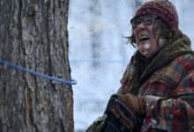 Maple syrup heist the sticky amazon