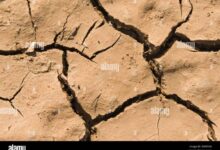 Three quarters of the earth has gotten permanently drier