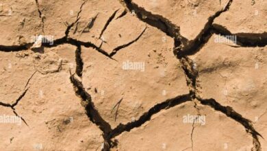 Three quarters of the earth has gotten permanently drier