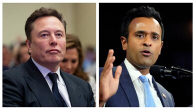 Taft musk ramaswamy government efficiency