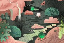 Bird flu symptoms h5n1 conjunctivitis