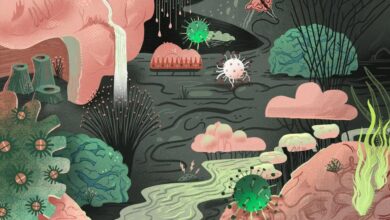 Bird flu symptoms h5n1 conjunctivitis