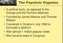 Conservative progressive populist unity