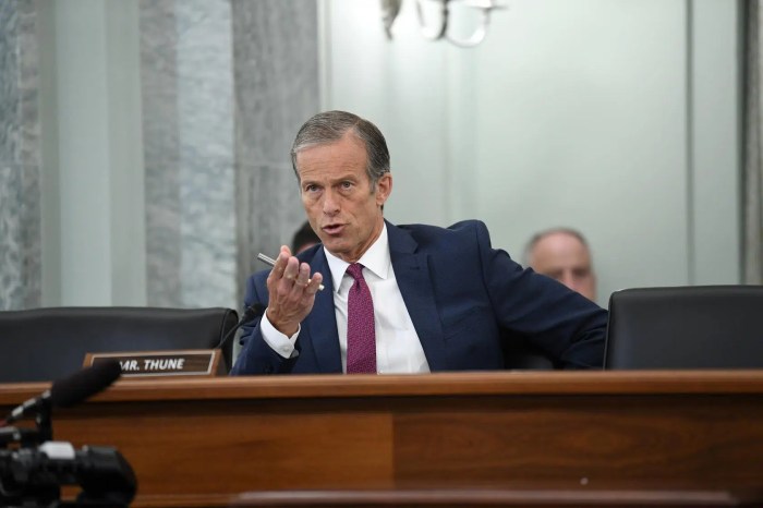 Trump john thune senate