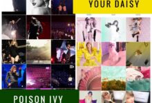 We dont want new music essay