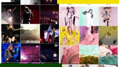 We dont want new music essay